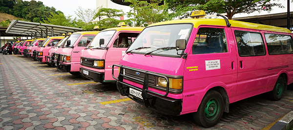 Pink Taxi